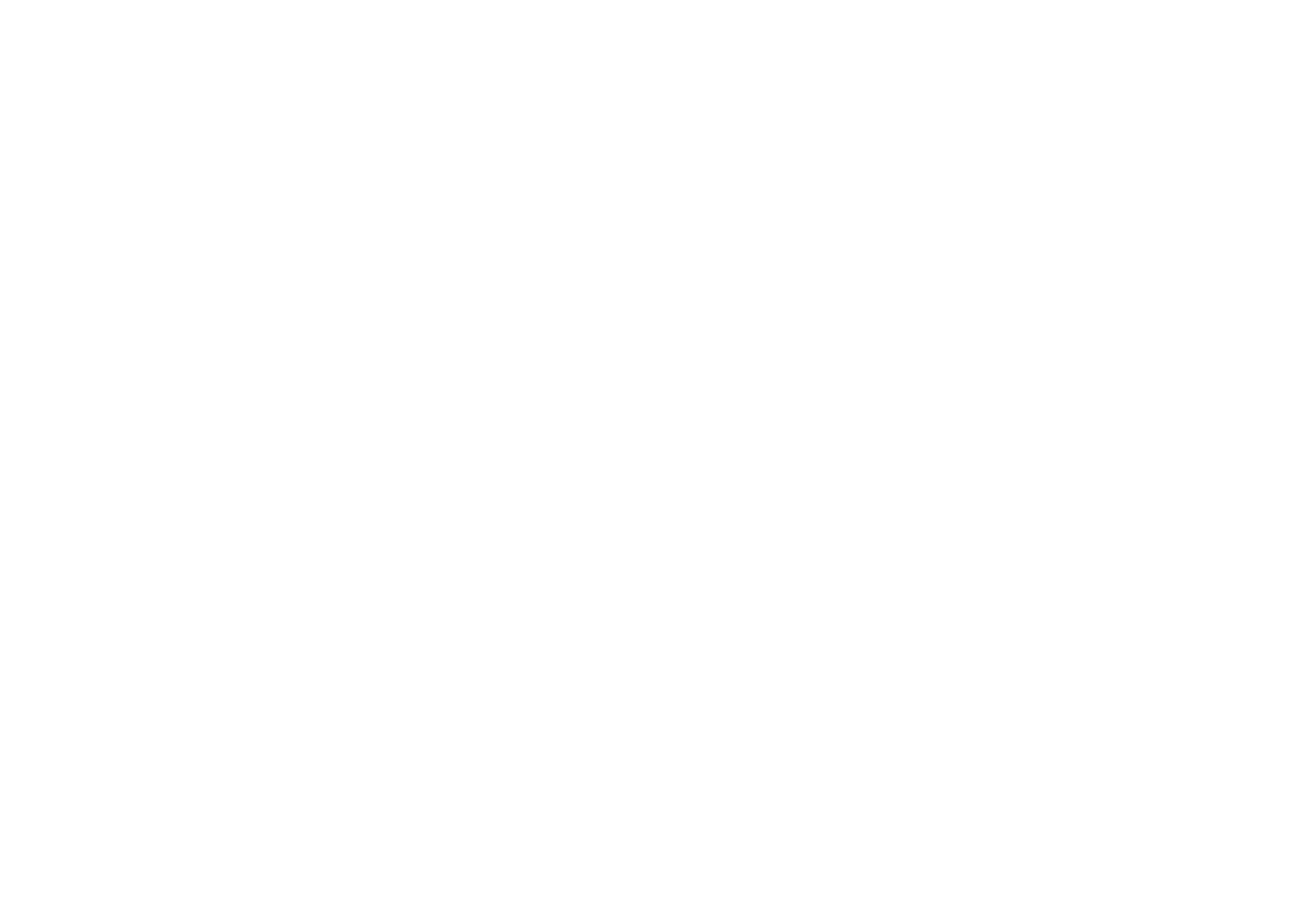 PRINCESS V_Logo White